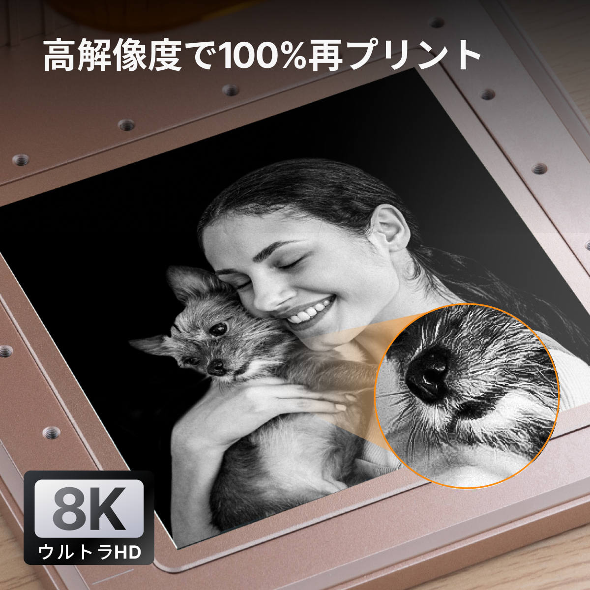 xTool F2：写真彫刻